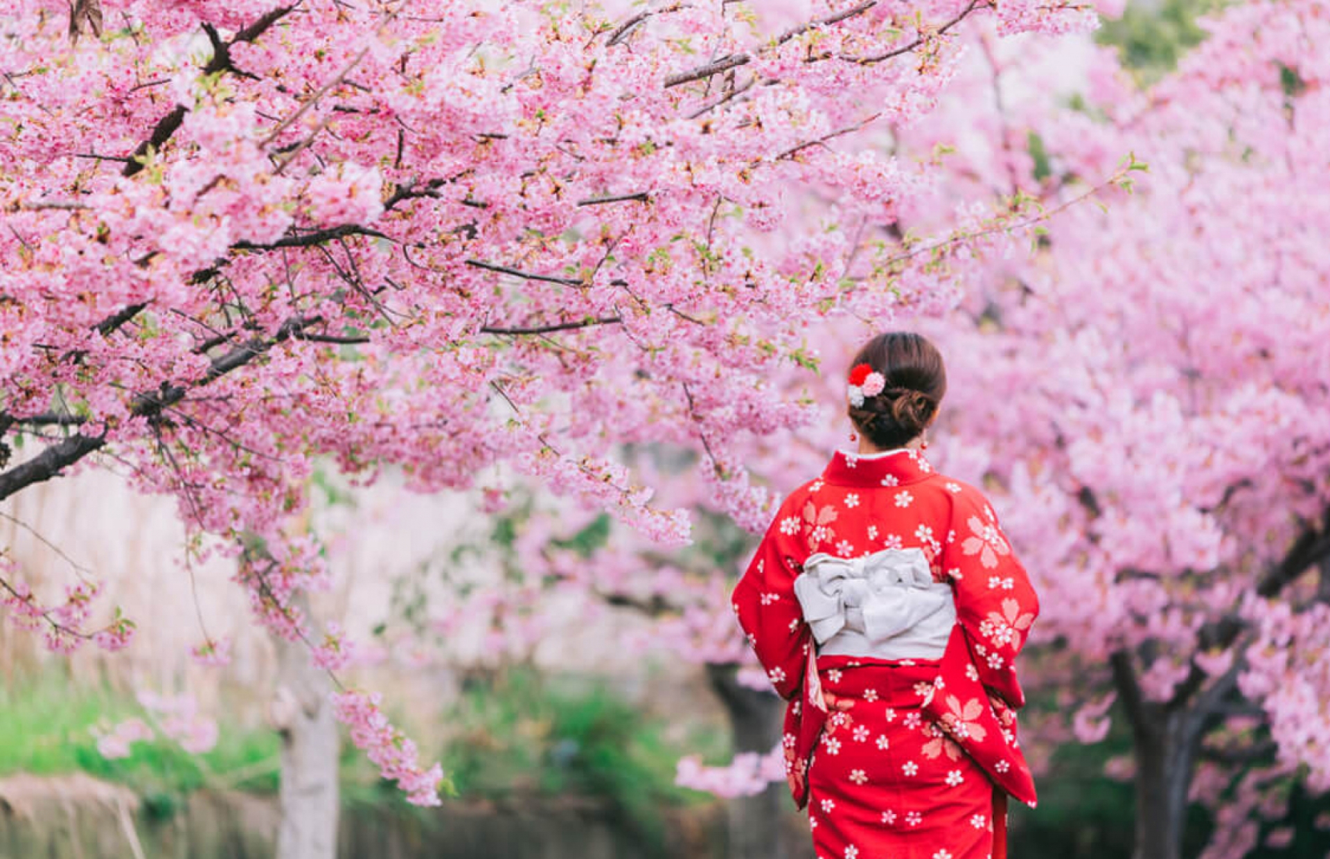 Japon Güzellik Tanrıça’sından Gelen Güzellik